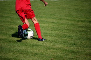 开运体育电脑版-内线球员在快节奏体系下的功能性演变，内线球员的主要作用